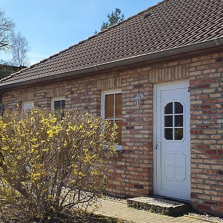 Ferienwohnungen Ruegen-Glueck Lohme Exteriör bild